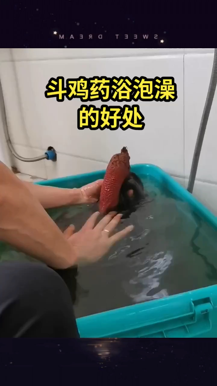 斗鸡药浴泡澡的好处有哪些