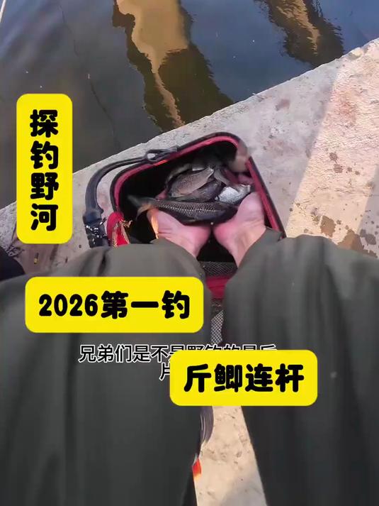 2026野钓大板鲫，冬天野钓#钓鱼#