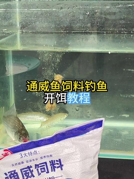 野钓鲫鱼鲤鱼很好用，附钩性和雾化也非常好 通威鱼饲料开饵教程