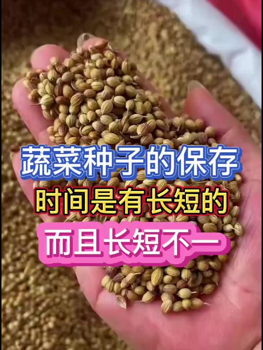 蔬菜种子都能保存多久