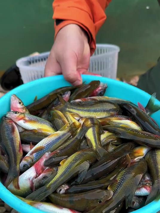 溪流垂钓心得:资源重要,但并非决定一切