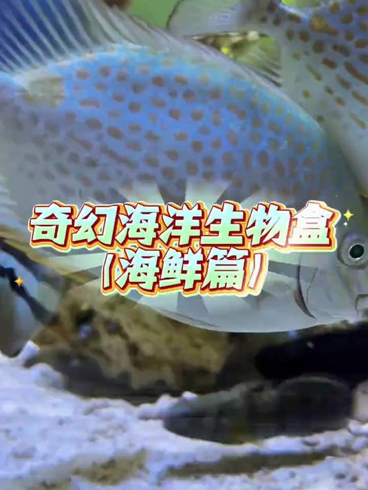 坏了，貌似我养的所有的鱼都是海鲜……#万物可爱计划