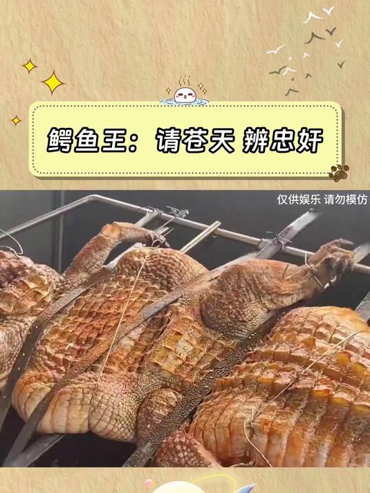 鳄鱼王：为什么受伤的总是我