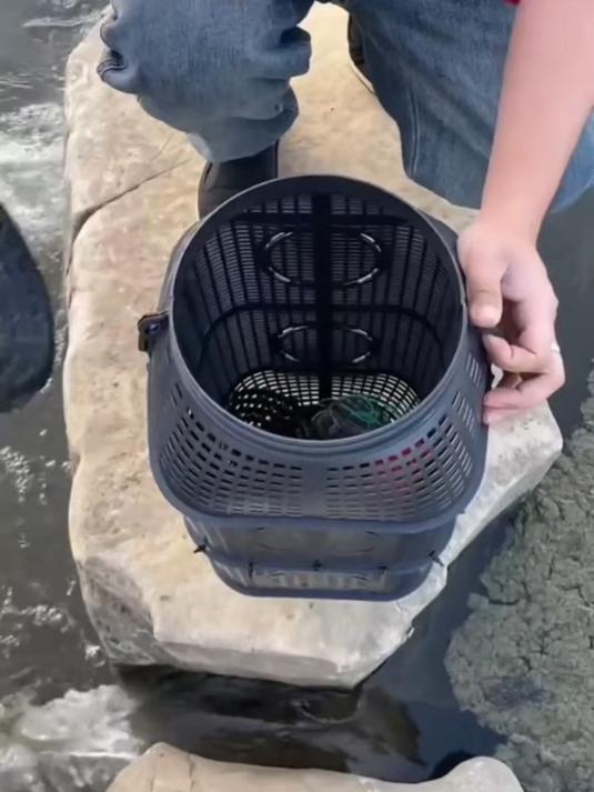 泥鳅黄鳝专用捕鱼笼 倒须防逃设计 夜钓爆笼必备神器