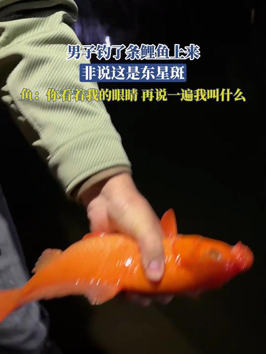 男子钓了条鲤鱼上来，非说这是东星斑，鱼：再说一遍我叫什么