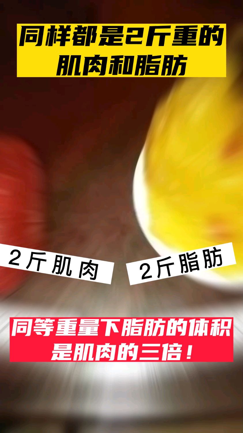 同等重量下,脂肪与肌肉的体积为什么会差别这么大?