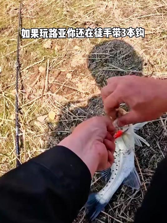 加长款路亚钳钓鱼专用，剪线摘钩开环，防锈耐磨户外垂钓工具