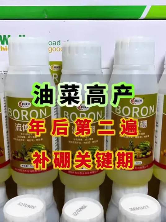 油菜高产诀窍:年后补硼,抓住关键期