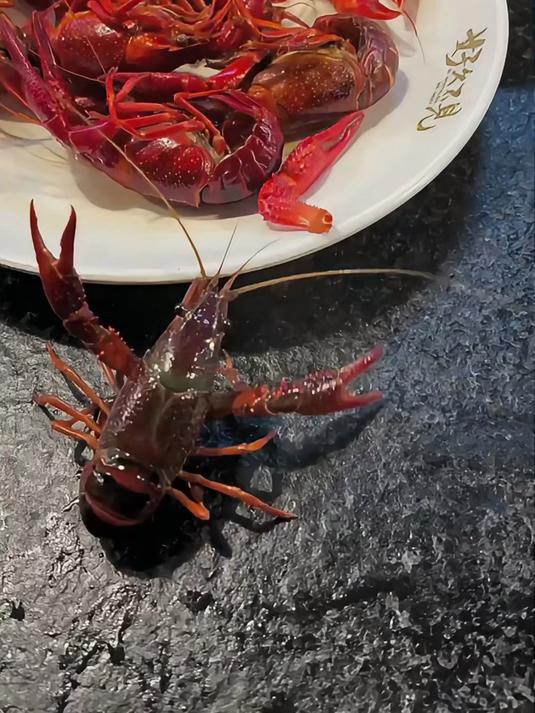 又到吃小龙虾的时候了，好可怜的小龙虾！
