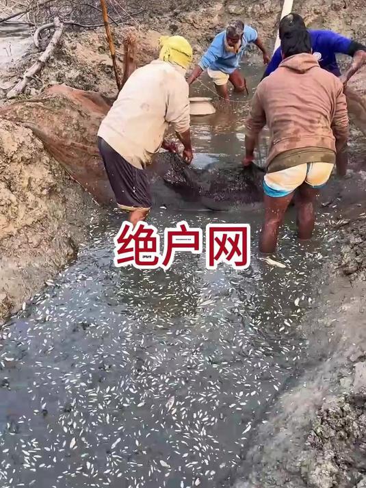 渔民为捕鱼简直令人瞠目结舌，不但将水抽干，还使用绝户网捞鱼