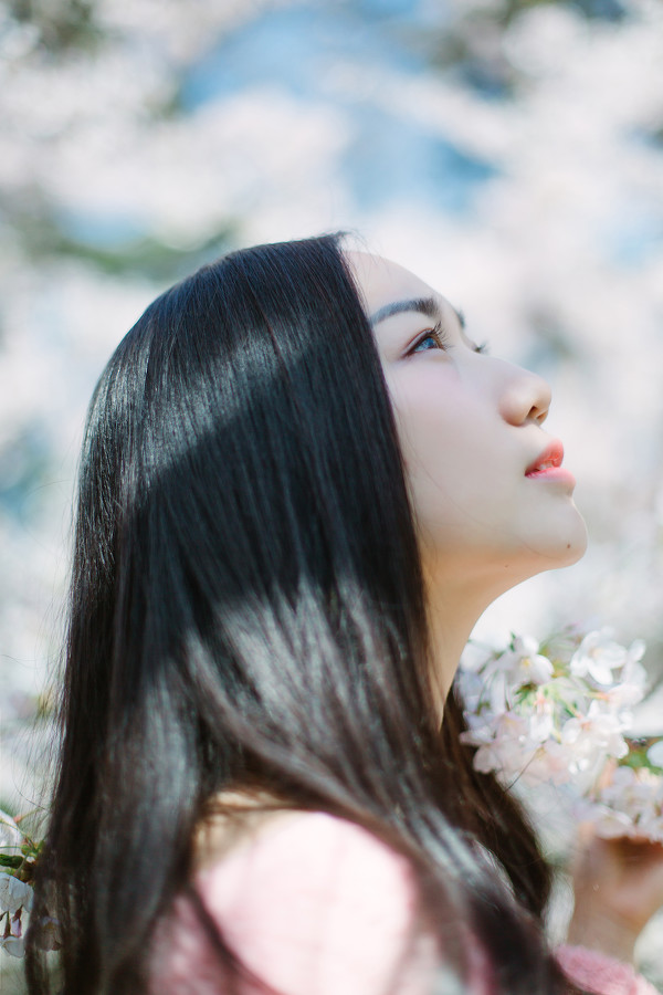 图片[7]-樱花再见-六色网