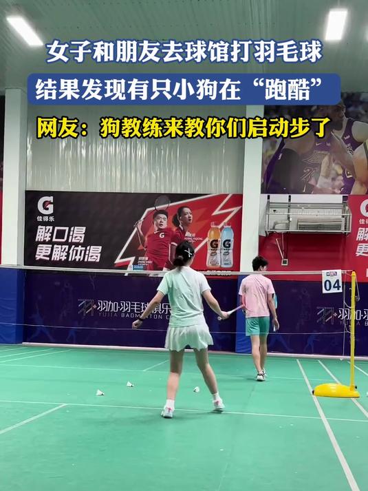 女子和朋友去球馆打羽毛球,结果发现有只小狗在“跑酷”