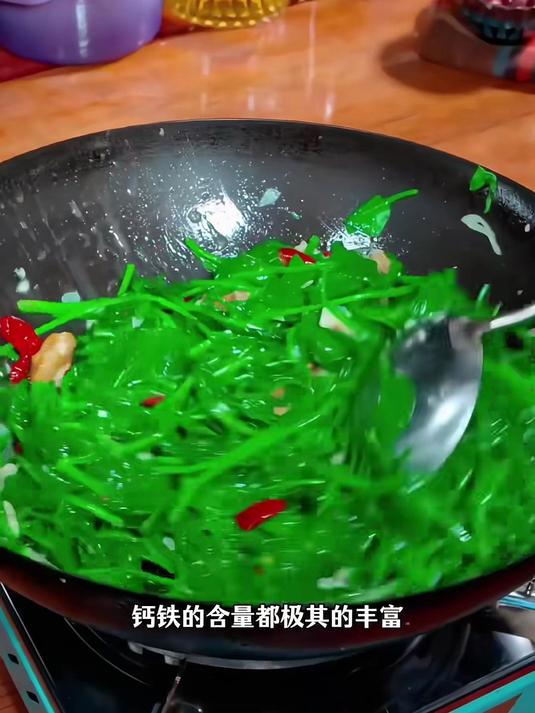 天然补钙小能手,大叶木耳菜苗,口感滑嫩宝宝爱