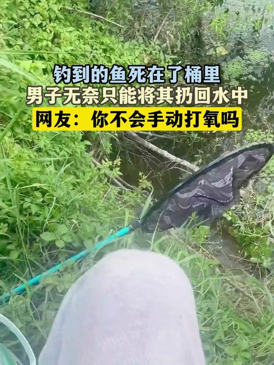 钓到的鱼死在桶里，男子无奈放回水中