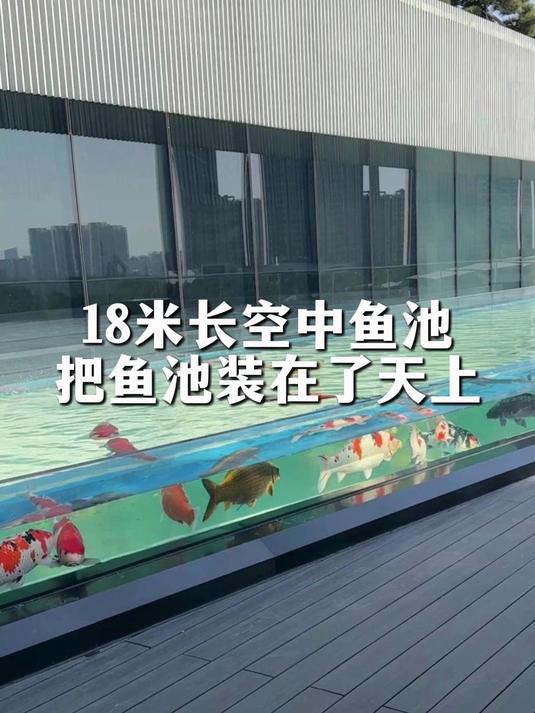 把鱼池装在了天上！18米长空中锦鲤鱼池设计建造案例