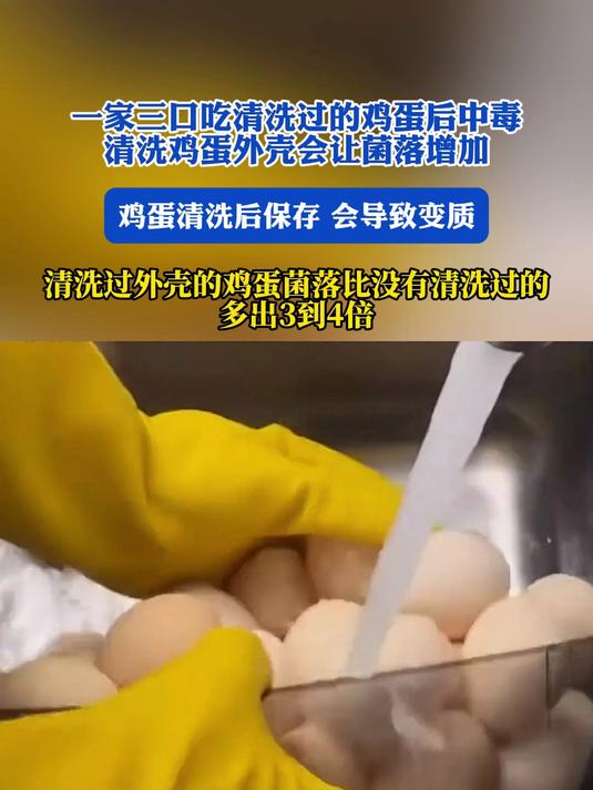 一家三口吃清洗过的鸡蛋后中毒,清洗鸡蛋外壳会让菌落增加