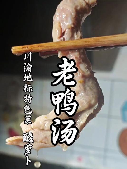 秋天的第一碗老鸭汤,酸辣开胃,解锁酸萝卜老鸭汤的详细做法!