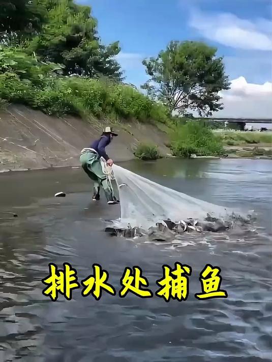 渔民在一处排水处撒网捕鱼，那场面太震撼了，看的真过瘾！