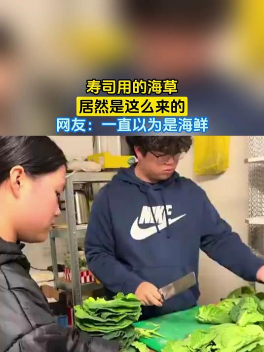 寿司用的海草，居然是这么来的，网友：一直以为是海鲜