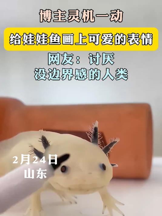 博主灵机一动给娃娃鱼画上可爱的表情网友:讨厌没边界感的人类