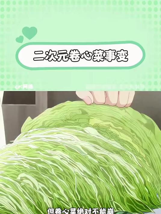 卷心菜是检验作画的唯一标准