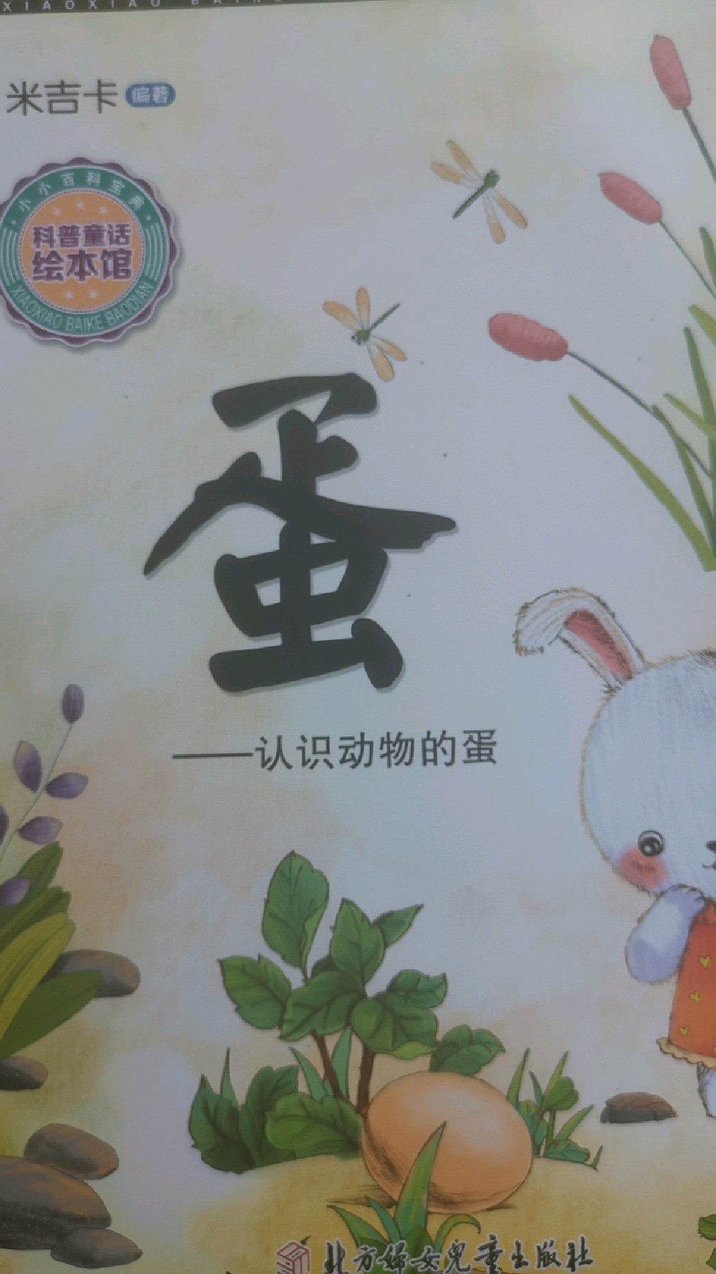 小鱼儿读绘本故事,《蛋》上集。