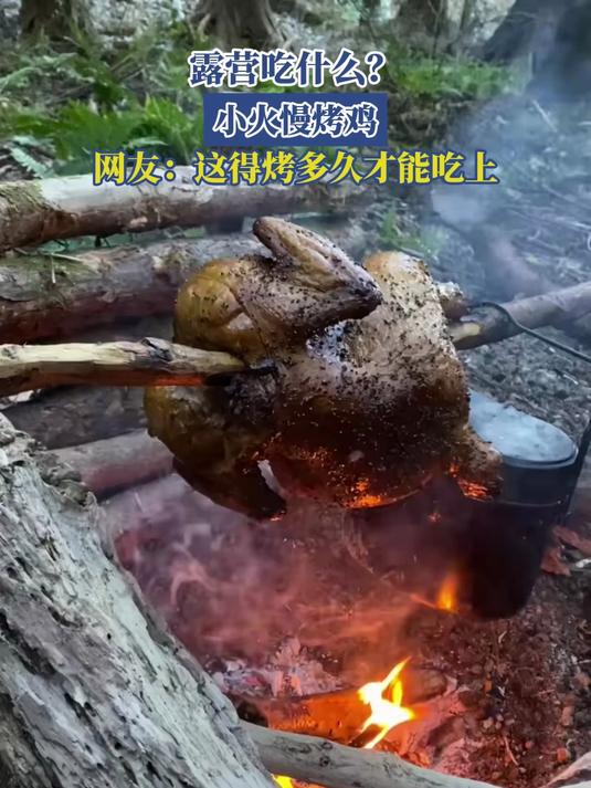 露营吃什么?小火慢烤鸡,网友:这得烤多久才能吃上