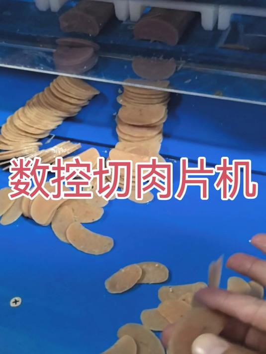 切肉片机数控切片机