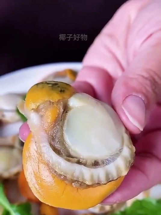 这口爱了!扇贝肉无沙超够味