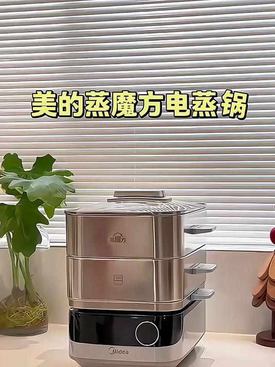 美的多功能电蒸锅了，非常不错！