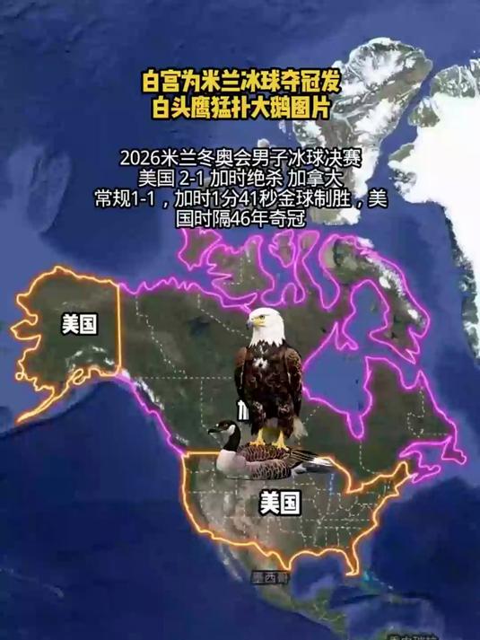 米兰冬奥会冰球决赛,美国21胜加拿大,白宫发白头鹰猛扑大鹅图片