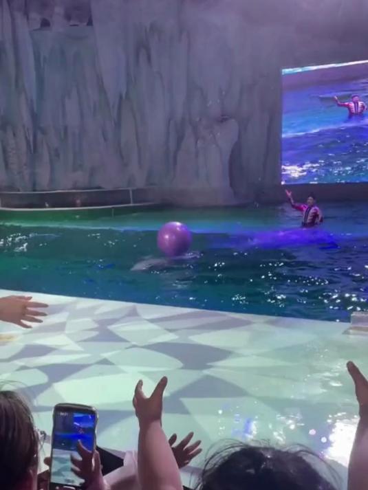 帮粉丝鉴定不认识的鱼