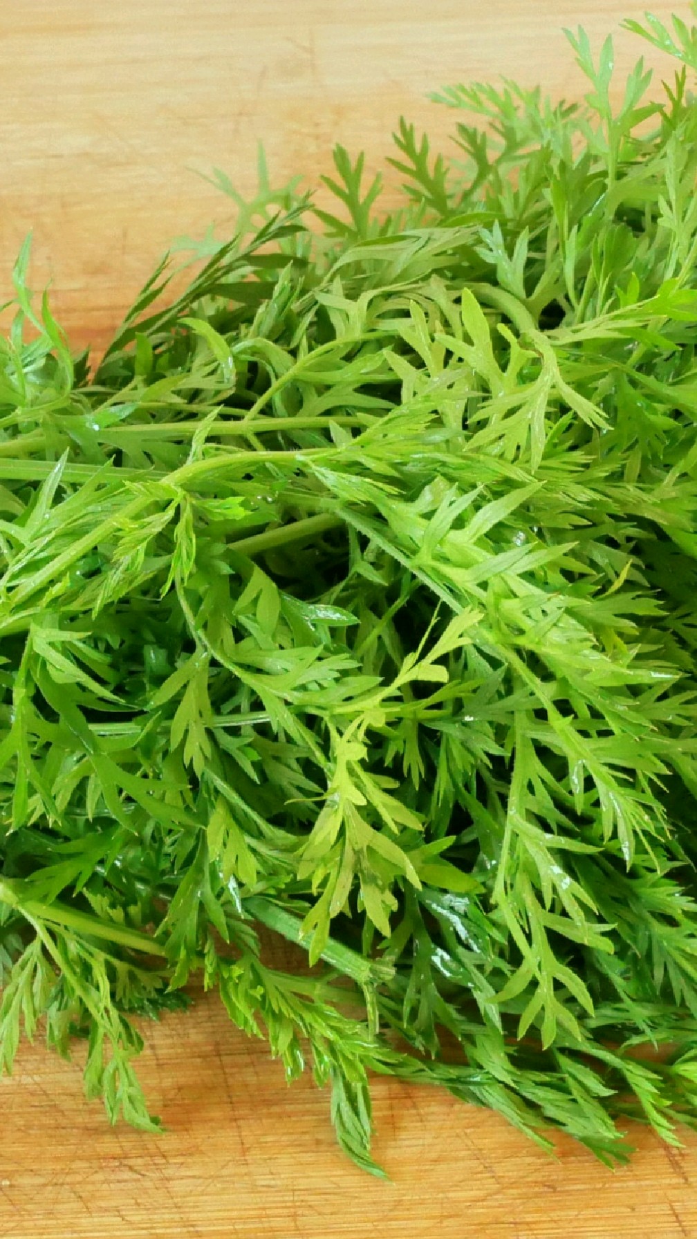 胡萝卜叶子加豆面,简单一做,出锅太香了
