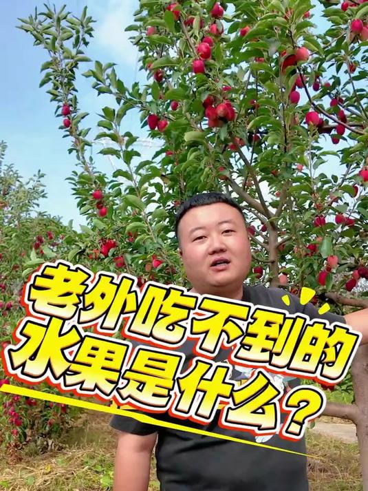 老外吃不到的水果是什么?鸡心果 三农新农人 三农 农村生活