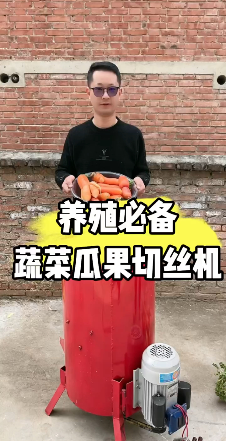 家用小型瓜果蔬菜切碎机