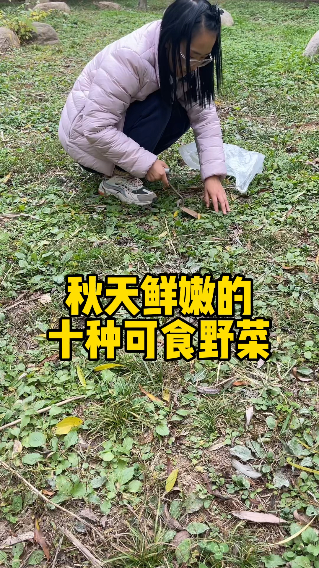 随处可见的十种野菜:可不要错过,特别是秋冬季正是挖野菜的好时机,省钱又美味