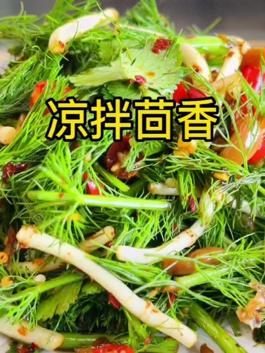 浓香茴香种子来袭,发芽迅速,阳台小菜园首选