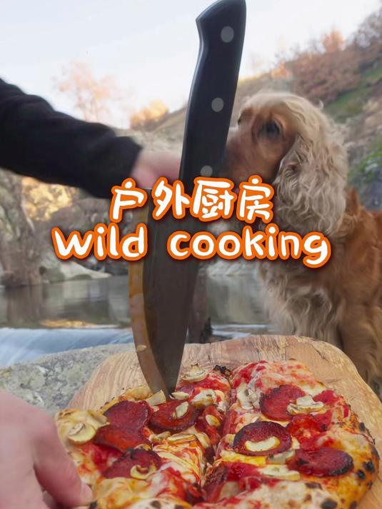 烤茄子牛肉+香肠披萨+土豆牛腩