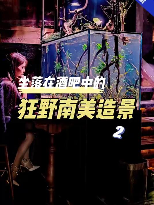 是你心目中的南美缸吗?