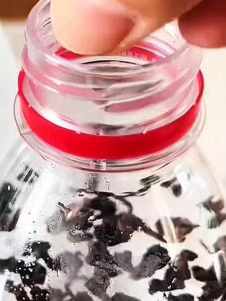 女子用矿泉水做冷泡茶,冷藏6小时,不苦不涩