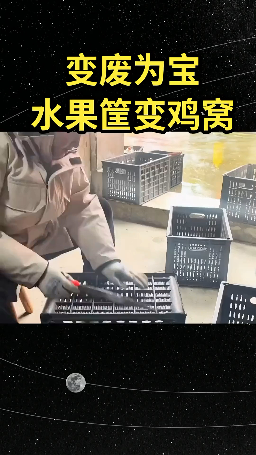 变废为宝水果筐变鸡窝