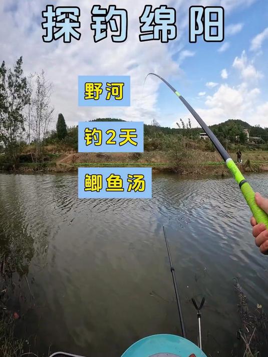 钓友发鱼获200公里立刻到,这次总该我钓大斤鲫了吧~