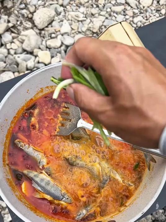 油鱼棒应该怎么钓，特别是白条闹窝的情况下