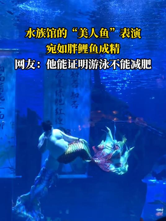 水族馆的“美人鱼”表演,宛如胖鲤鱼成精
