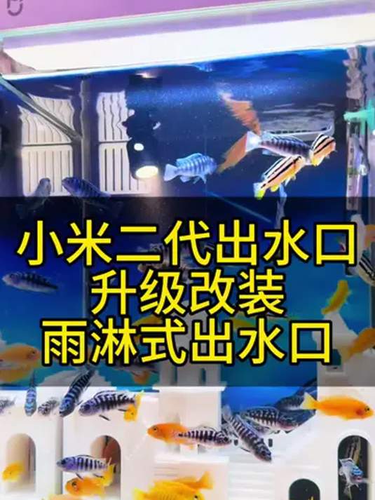 小米二代鱼缸出水口这样改 减缓水流多层过滤 鱼舒服