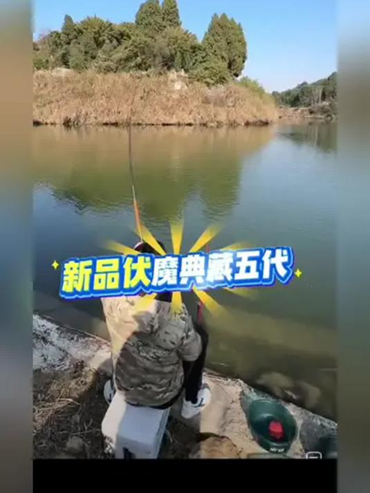 新品佳钓尼五代 4H 鱼竿 超轻超硬 钓鱼必备