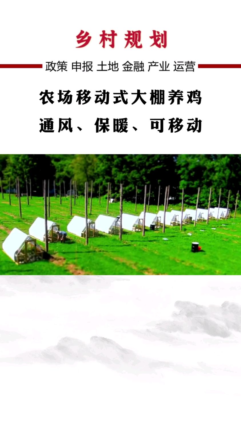 新型养鸡模式,好玩好看又实用#乡村振兴 #养鸡#农场