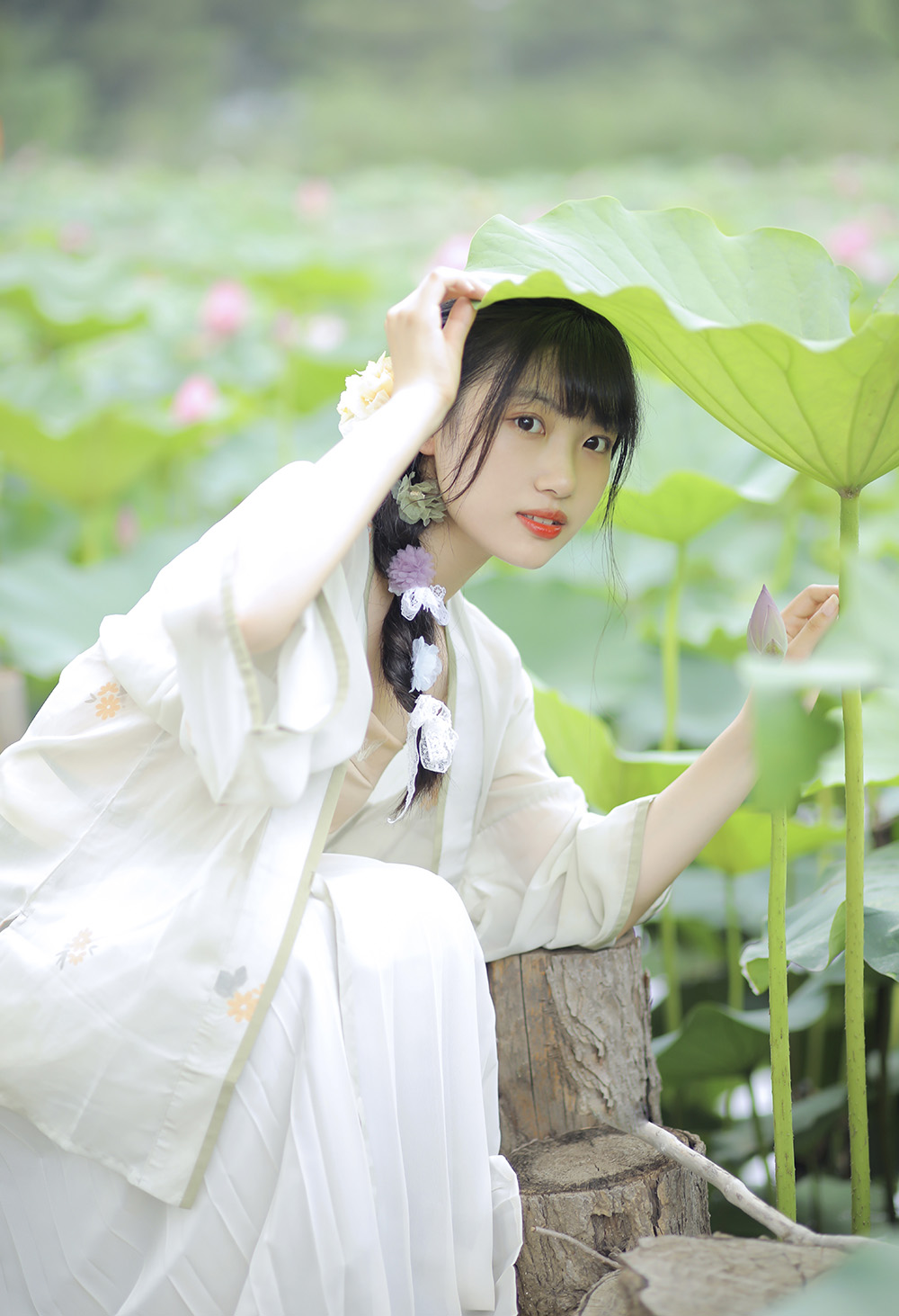 图片[4]-温婉荷风入夏-六色网