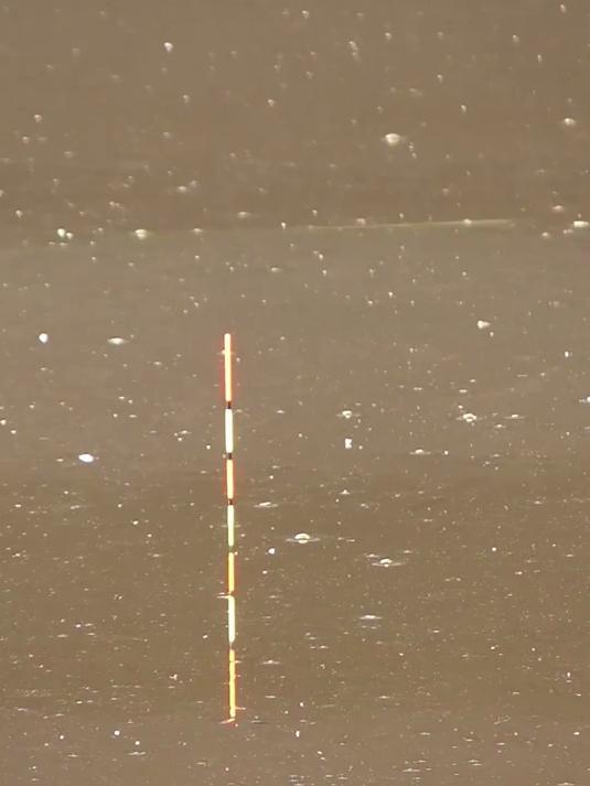 野钓鲫鱼用加粗尾浮漂的调钓
