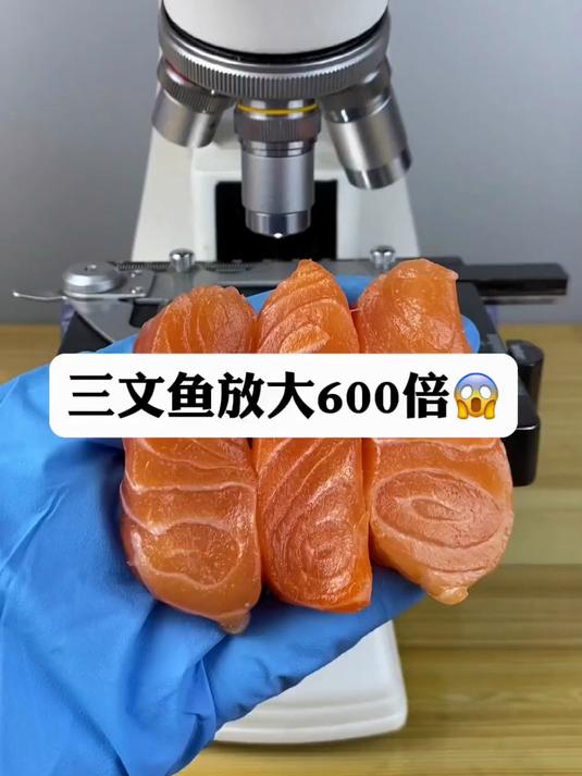 三文鱼真有寄生虫吗 显微镜下的世界 微观世界